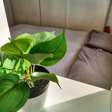 דירה Skysuite San Luca With Terrace And View *