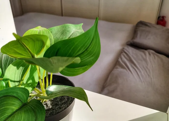 Appartement Skysuite San Luca With Terrace And View *